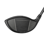 DS Adapt LS - Driver (demoklubba)