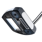 AI-ONE JAILBIRD MINI DB - Putter